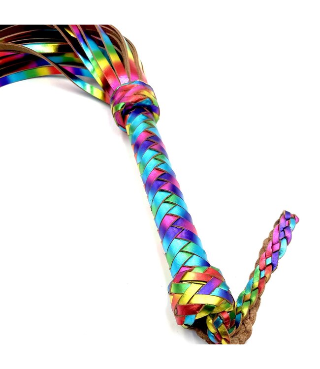 Long Rainbow Leather Flogger