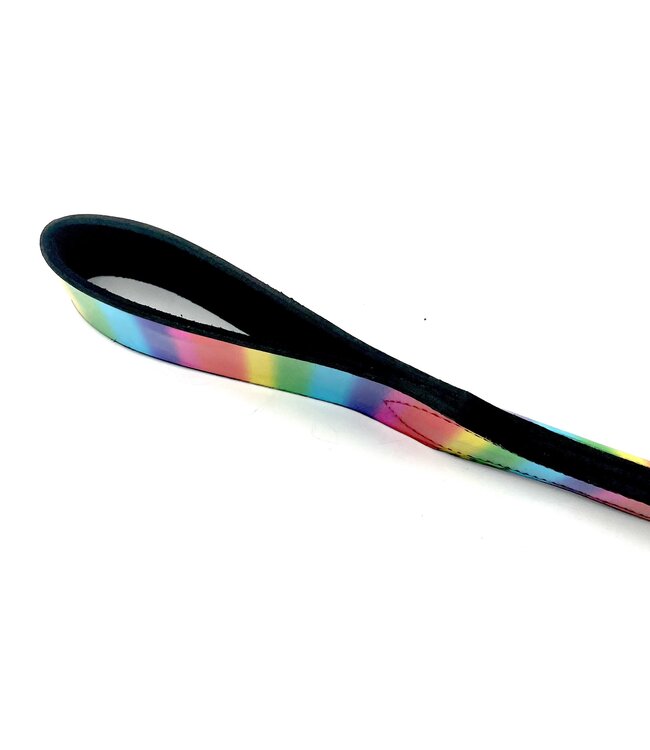 Rainbow Leather Loop Slapping Paddle
