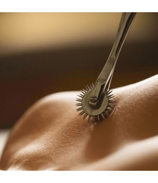 Bondesque Wartenberg Pinwheels | BDSM Sensation Play