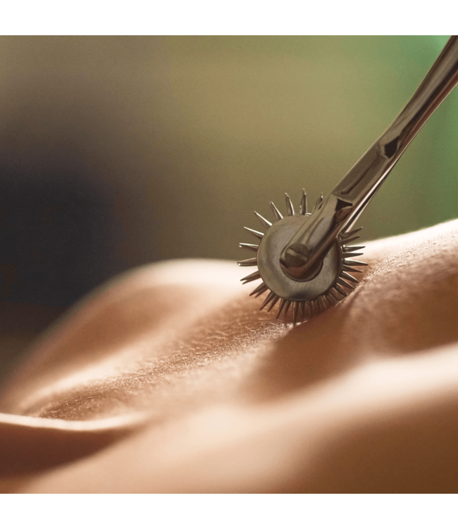 Wartenberg Pinwheels | BDSM Sensation Play