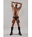 Regnes Masculine Brazilian Shorts