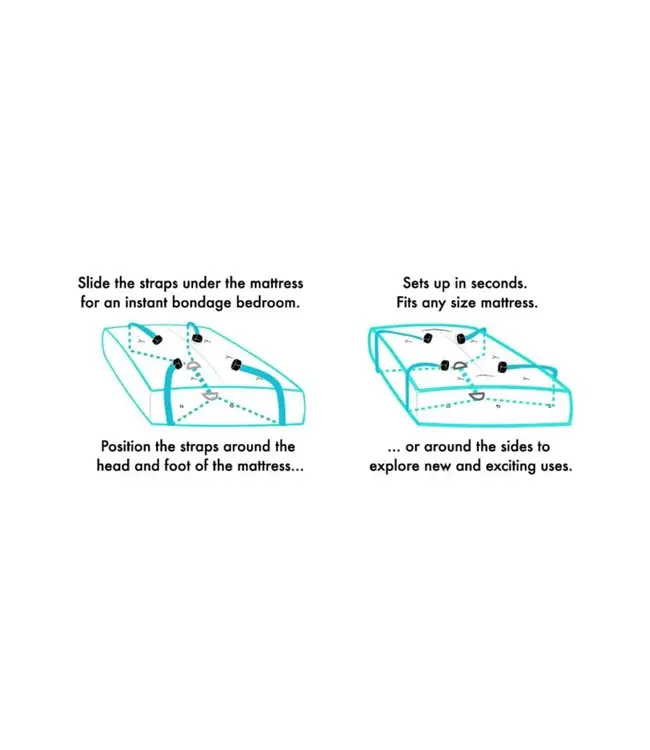 Under The Bed Restraint System