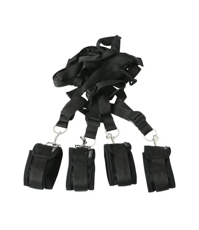 Under The Bed Restraint System