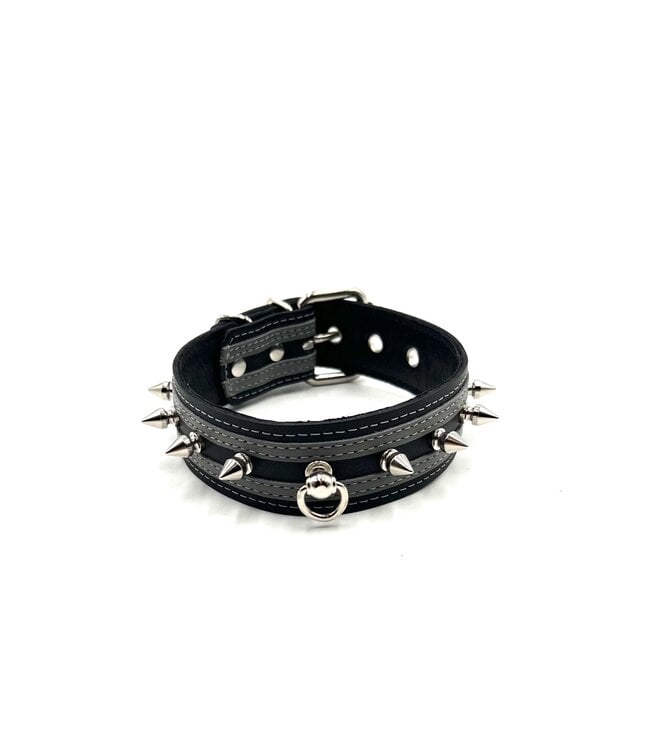 Post Ring And Spike Collar