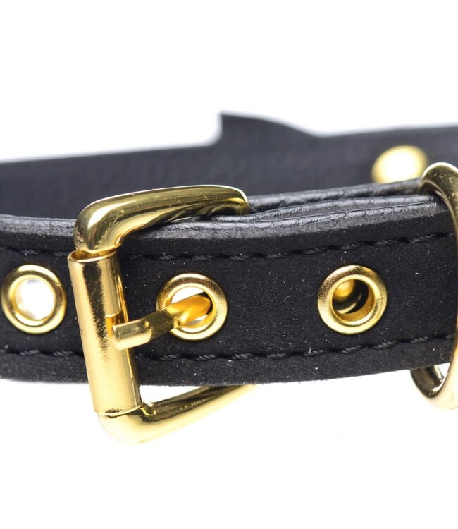 Golden Kitty Cat Bell Collar