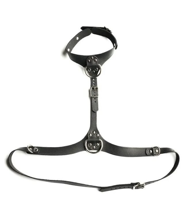 Full Curves Leather Bust Harness