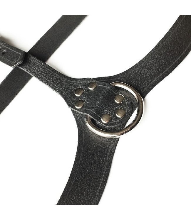 Full Curves Leather Bust Harness