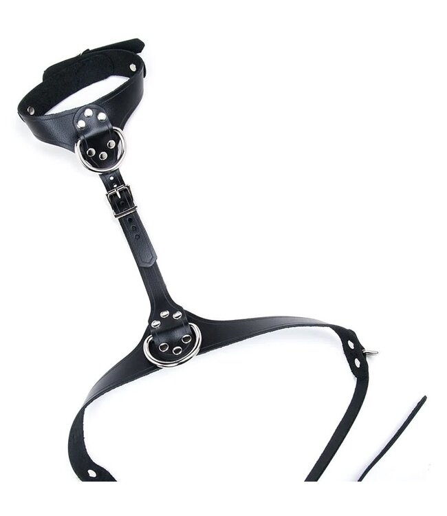 Shiny PVC Neck & Chest Harness