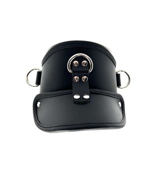 Stockroom Deluxe Padded Leather Posture Collar w/ D Rings