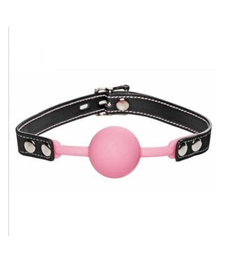 XR Glow in the Dark Silicone Ball Gag