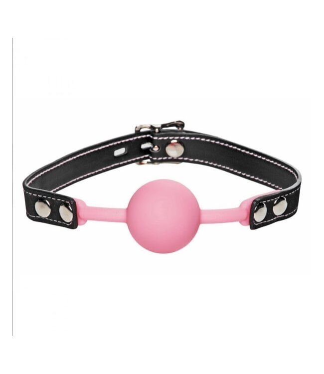 Glow in the Dark Silicone Ball Gag