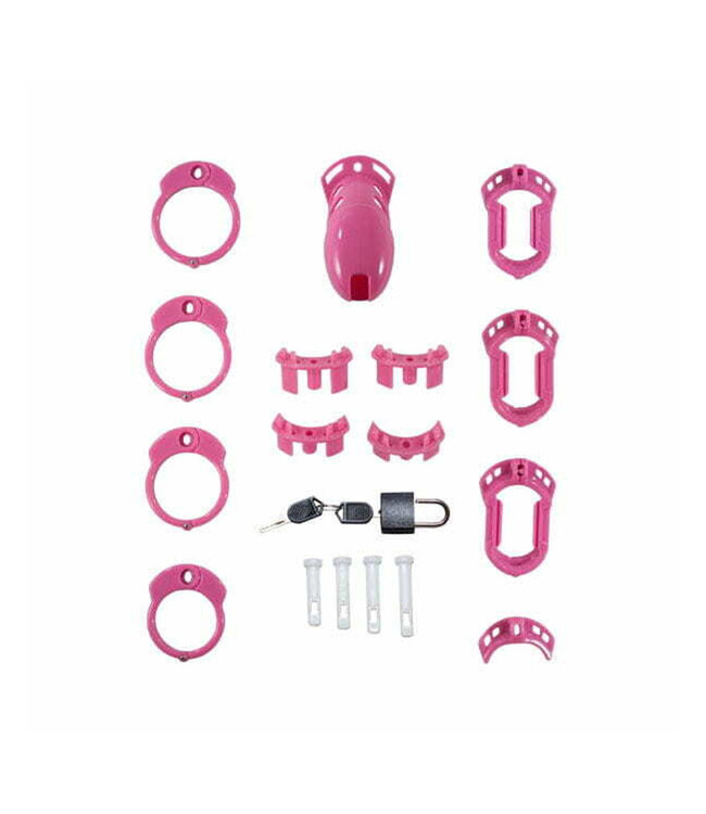 Locked In Lust Plus | Chastity Cage