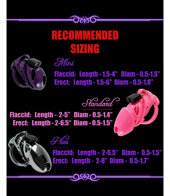 Locked In Lust Plus | Chastity Cage