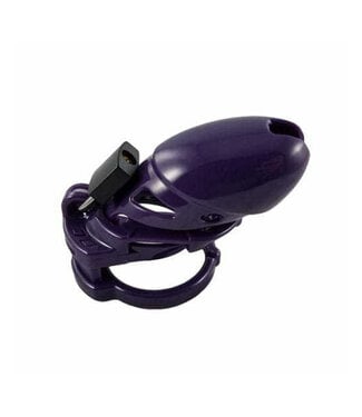 TheVise Locked In Lust Plus | Chastity Cage