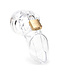CB 6000 | Chastity Cage