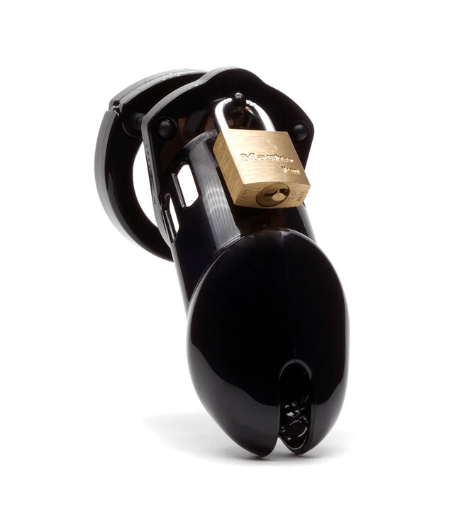 CB 6000 | Chastity Cage