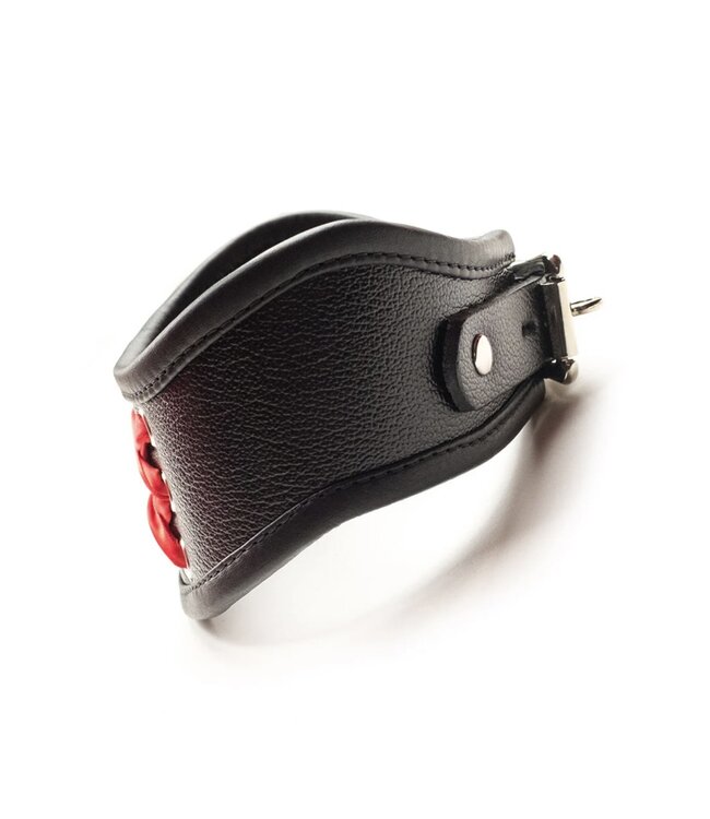 Red Laced Leather Posture Collar