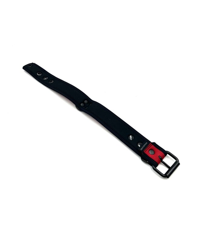 Neoprene Bold Color Puppy Collar