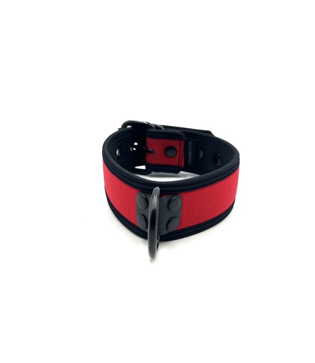 Neoprene Bold Color Puppy Collar