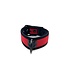 Neoprene Bold Color Puppy Collar