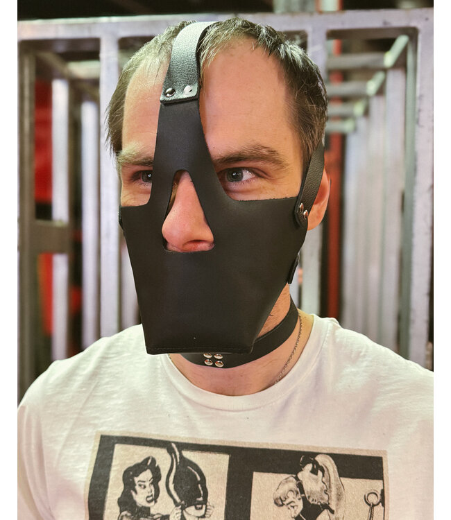 Leather Head Harness with Muzzle