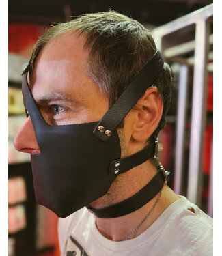 Stockroom Leather Head Harness with Muzzle
