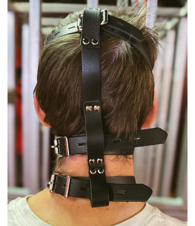 Leather Head Harness with Muzzle