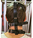 Leather Head Harness with Muzzle