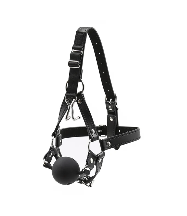 Ball Gag Head Harness with Nose Hook