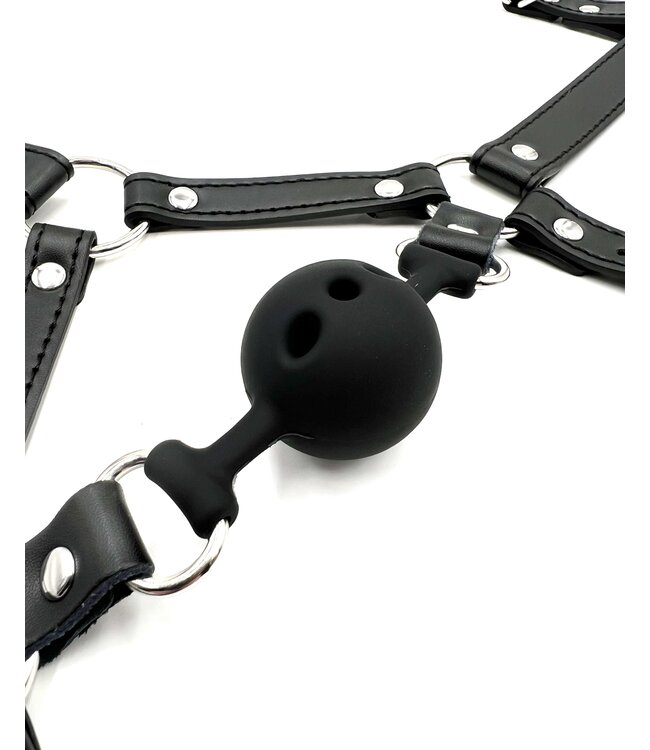 Ball Gag Head Harness with Nose Hook