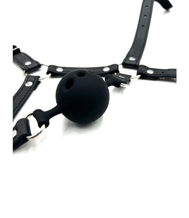 Ball Gag Head Harness with Nose Hook