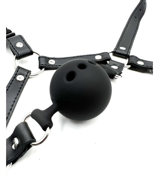 Ball Gag Head Harness with Nose Hook