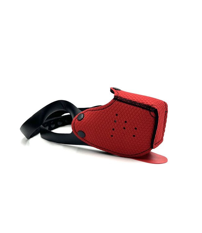 Intro to Pup Play Muzzle