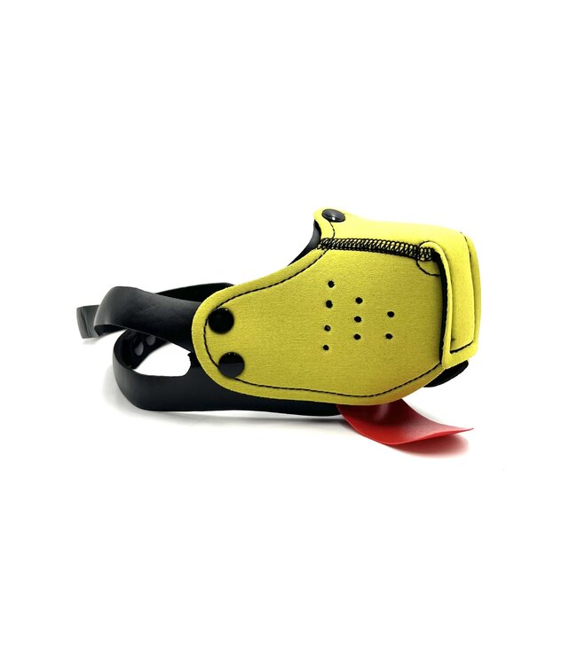 Intro to Pup Play Muzzle