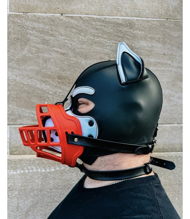 Intro to Pet play | Training Pup Muzzle