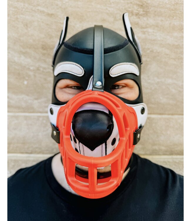 Intro to Pet play | Training Pup Muzzle