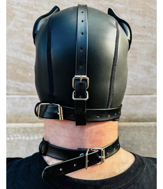 Intro to Pet play | Training Pup Muzzle