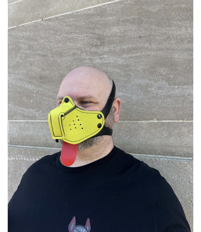 Intro to Pup Play Muzzle