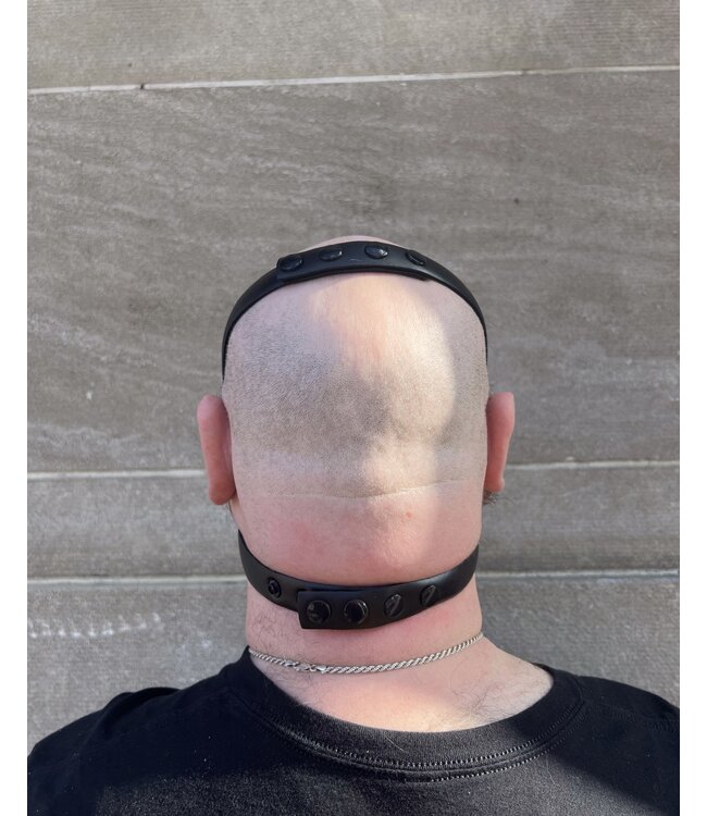 Intro to Pup Play Muzzle