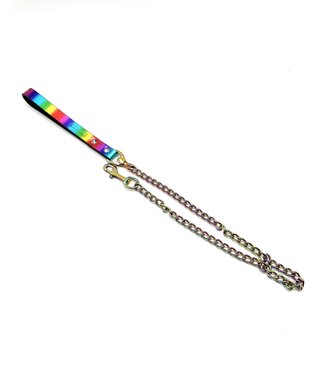 Spanked Rainbow Leather Leash