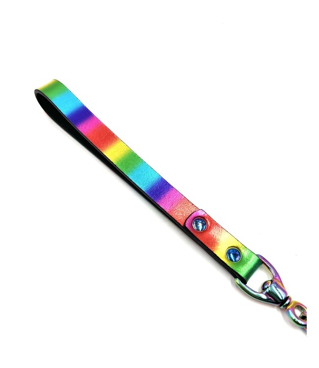 Rainbow Leather Leash