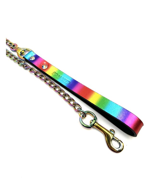 Rainbow Leather Leash