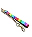 Rainbow Leather Leash