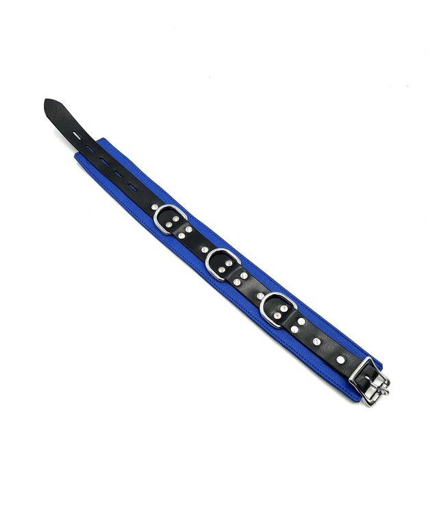 Essential Leather Bondage Collar