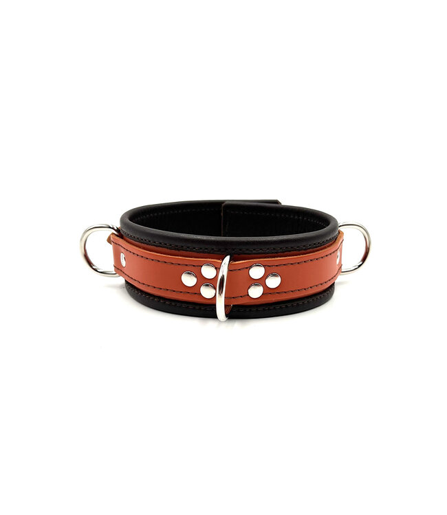2-Tone Locking Collar D-Ring