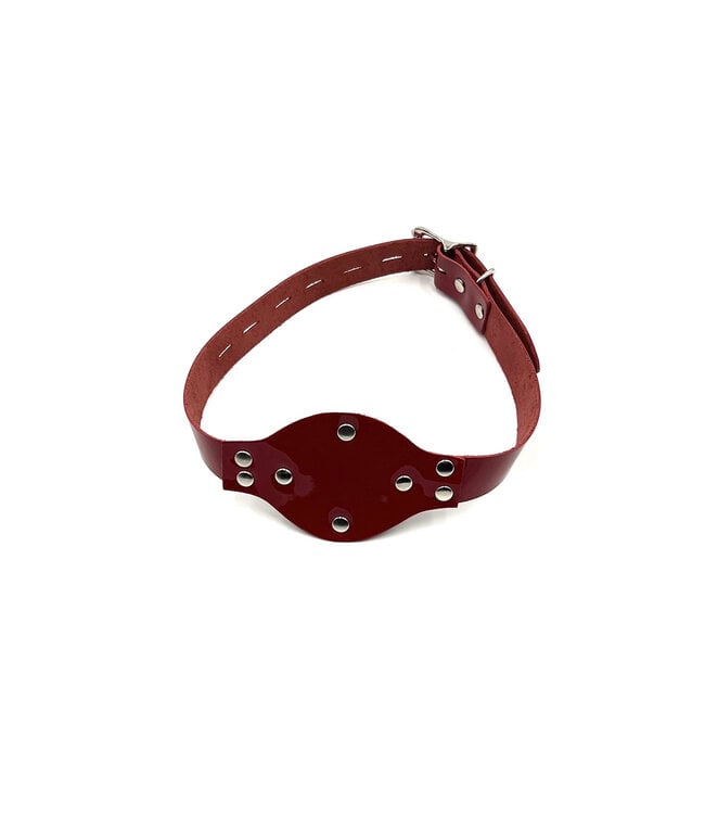 Leather Penis Gag