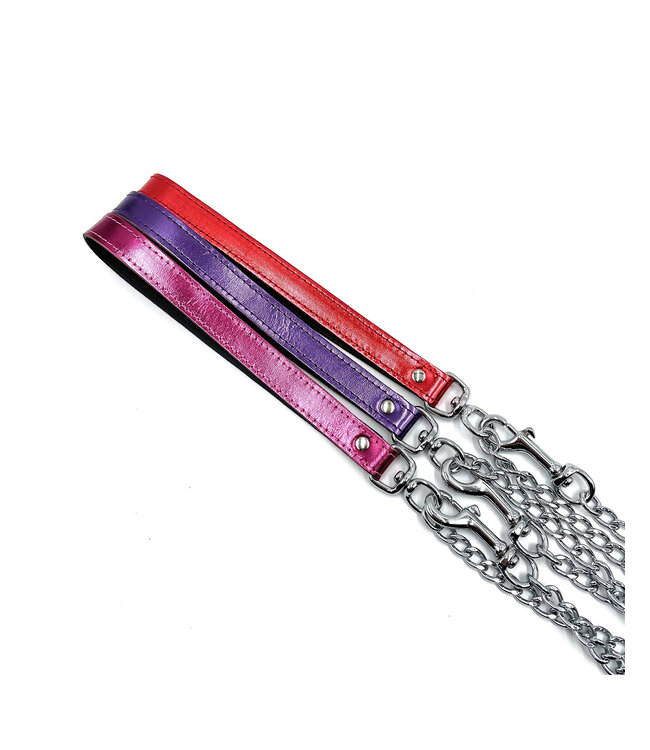 Leather Swivel Leash in Metallic Colors