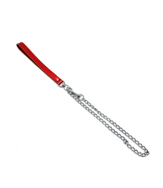 Leather Swivel Leash in Metallic Colors