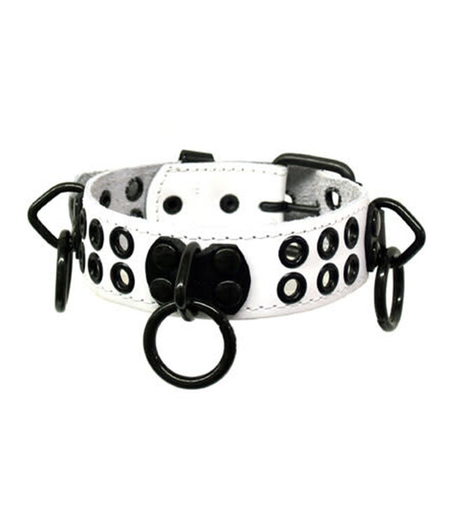 Bondage Collar With Rings And Rivets