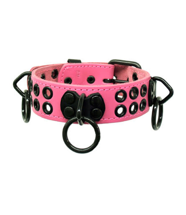 Bondage Collar With Rings And Rivets